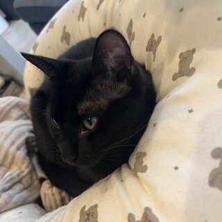 人懐っこい甘えん坊な女の子♡