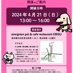 保護いぬ譲渡会＠恵比寿