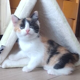 かわいいかわいい♡もろみちゃん