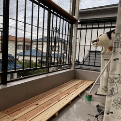 「まどかさん、あなたのゴロ寝を助けましょう」サムネイル2