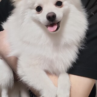 応募多数の為一旦締め切ります。