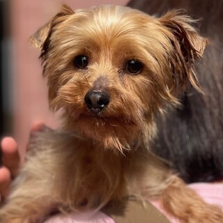 24-M79　可愛い子です！！