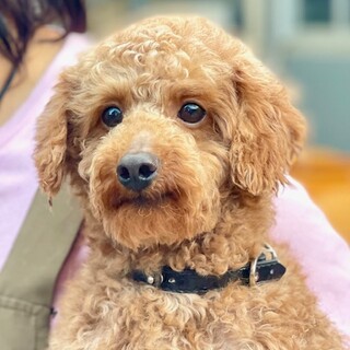 24-M90　若い！賢い！元気！！◎