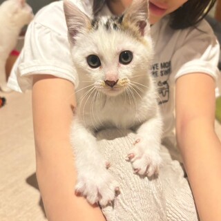 とても活発♡こまちゃん