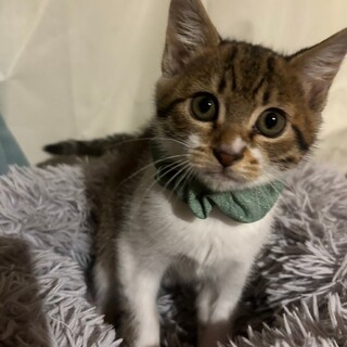 可愛いマスクフェイス♡きくちゃん