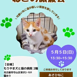 ねこの譲渡会inもりやま犬と猫の病院