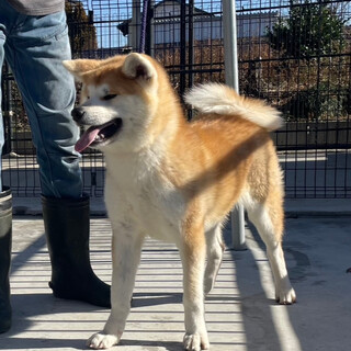 急募！綺麗なお顔の女の子です。