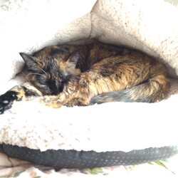 ある日のでき事