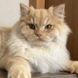 ちょっと人見知り★タツジ君