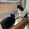 の写真