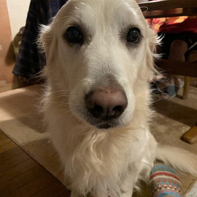 響ママのカバー写真