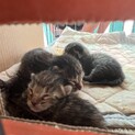 写真更新　６月中に引き渡し