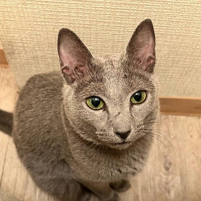 JON-のカバー写真
