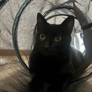 10/13幕張ෆ⃛穏やか男子ෆ⃛もん吉くん