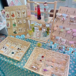 保護猫のお見合い会 サムネイル3