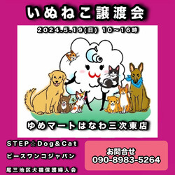 ゆめマートはなわ三次東店いぬねこ譲渡会