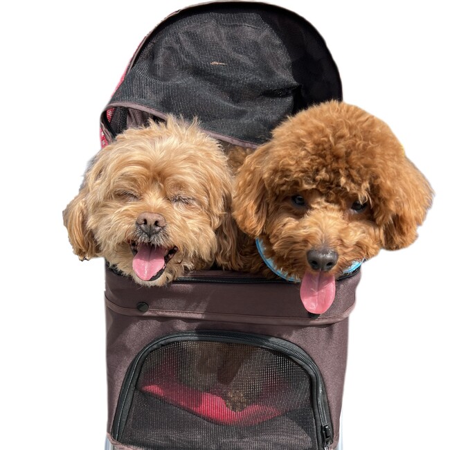 chiyqnのカバー写真