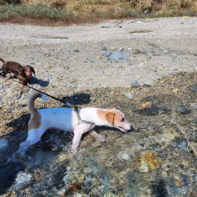 m0chioのカバー写真