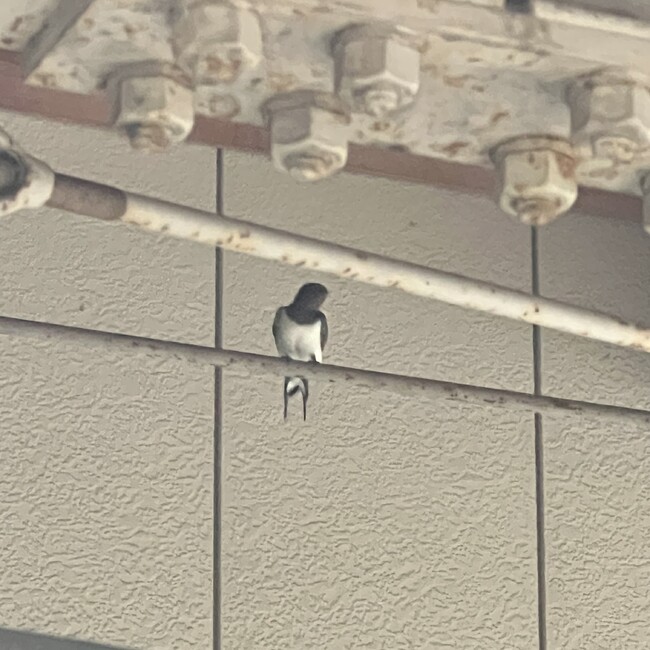 てづかのカバー写真