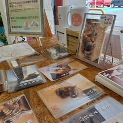 「ゆるぷらでのお見合い会のご報告」サムネイル2