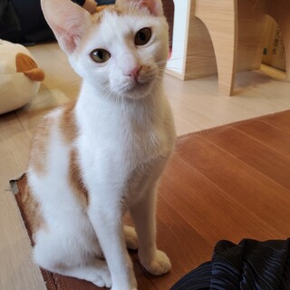 えびす♂️更新済み