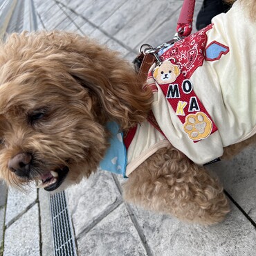 オーダーネーム★ムギは完成待ち