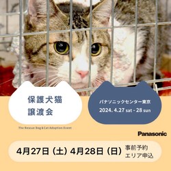 パナソニック保護犬猫譲渡会