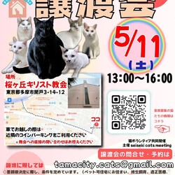 ◇保護猫の譲渡会◇in東京都多摩市聖蹟桜ヶ丘◇