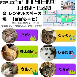 猫の譲渡会 @ 犬山市 レンタルスペースぽぽらーと