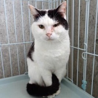 ５歳で慢性腎臓病のおにぎりくん