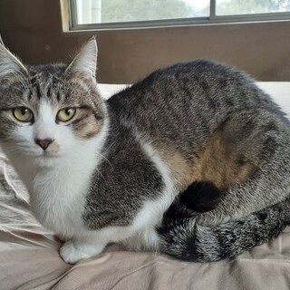 三兄弟イチの甘え上手「だっちゃん」