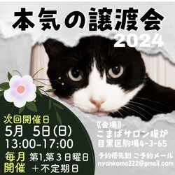 GWも本気の譲渡会✨