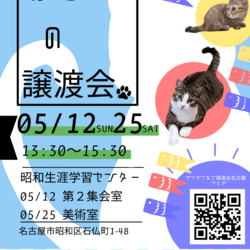 猫の譲渡会　in　名古屋市昭和生涯学習センター サムネイル1
