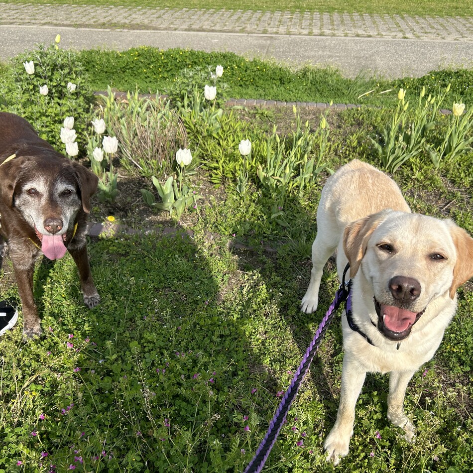 JINのカバー写真