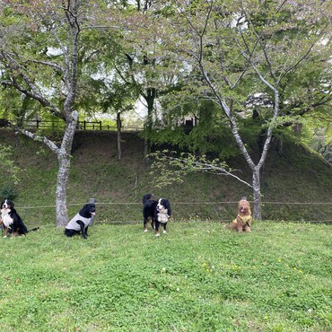 旅先にて　長篠城址(愛知県) 左からフレデリカ、アンディー、イリーナ、アリス、アナ