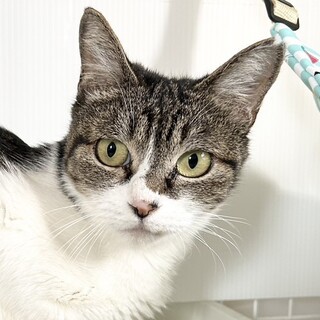 【5/12東銀座】あんちゃん★4歳♪