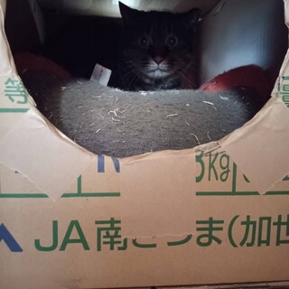 人馴れしていないヨモギちゃん