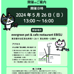 保護ねこ譲渡会＠恵比寿