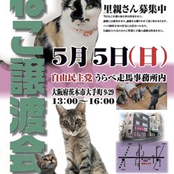 ねこ譲渡会@茨木市