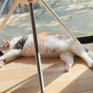 ありがとうございました