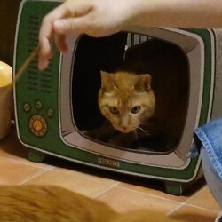 琴ちゃんの場所