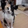 臆病な女の子♡ サムネイル3