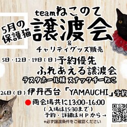 伊丹ふれあえる譲渡会