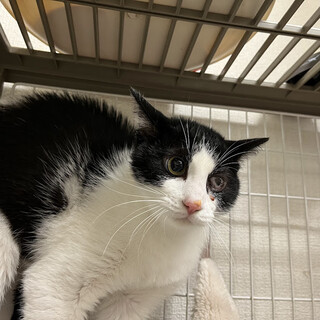 怖がりで頑張り屋さんひろちゃん