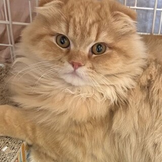 ちょっと人見知り★トラジ君