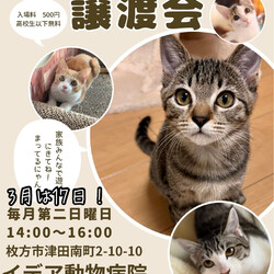 ねこの譲渡会＠枚方市