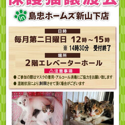 おーあみ避難所譲渡会in新山下 サムネイル1