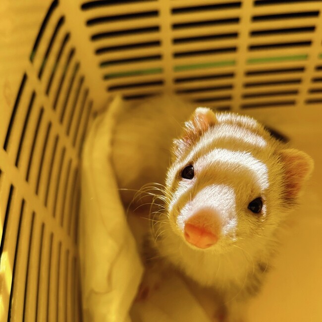 happy1616のカバー写真