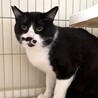 ビビリ君なのにボスっぽい貫禄　げん太君