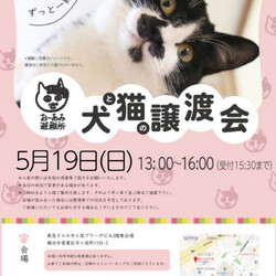 おーあみ避難所譲渡会in市が尾